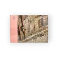 bts-you-never-walk-alone-pink-version.webp
