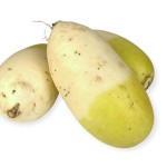 Rzodkiew koreańska z Jeju 