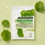 Orjena | Natural Moisture Mask Sheet Madecassoside - Łagodząca maska w płachcie z madekasozydem