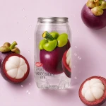 Sparkling Mangosteen - napój gazowany o smaku mangostanu 350 ml | OKF